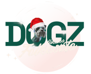 Dogz Mikulás Falkaséta 2025